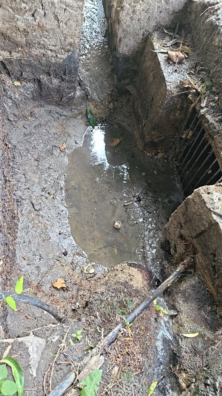 After cleaning photo