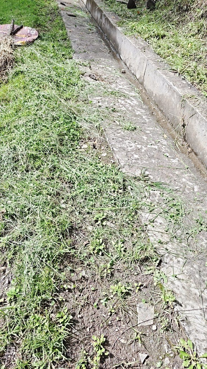 Before cleaning photo