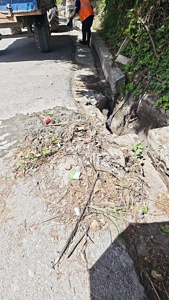 Before cleaning photo