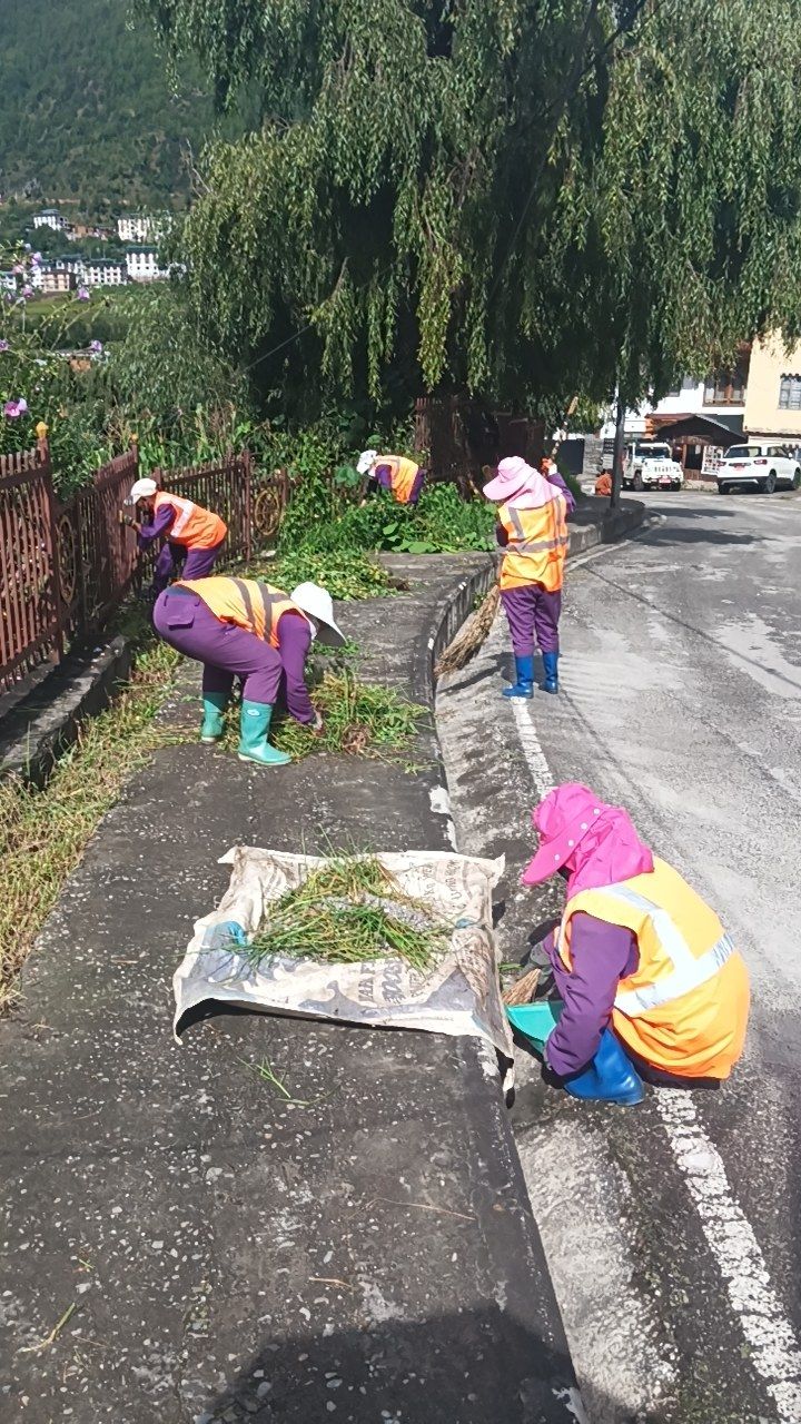 During cleaning photo