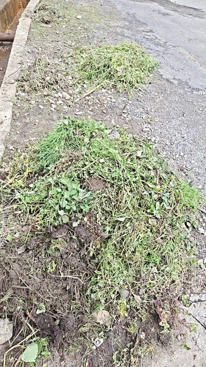 Before cleaning photo
