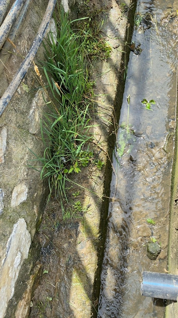 Before cleaning photo