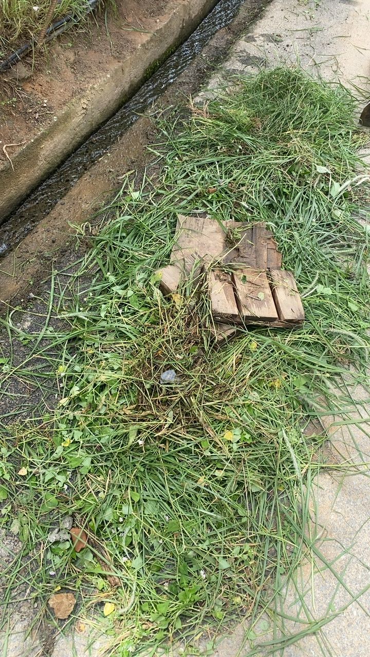 Before cleaning photo