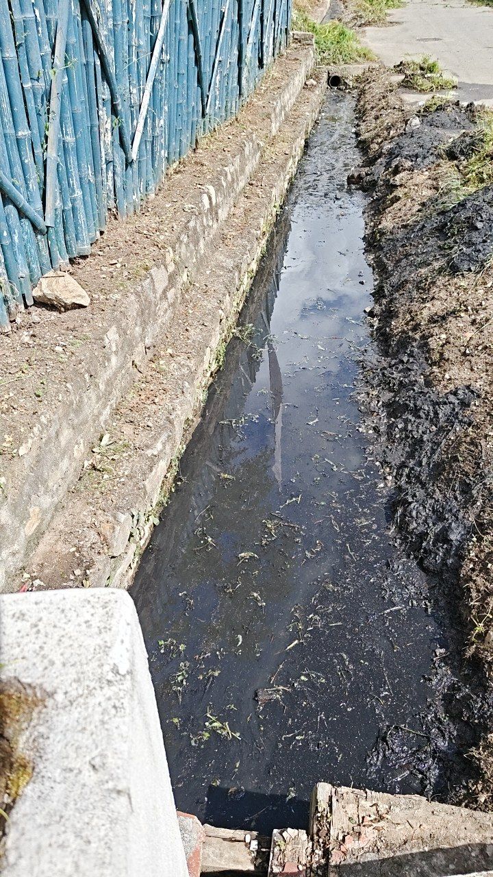 After cleaning photo