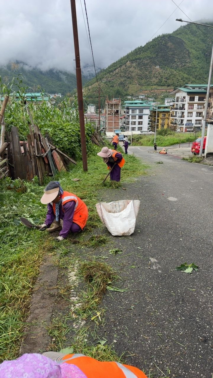 During cleaning photo