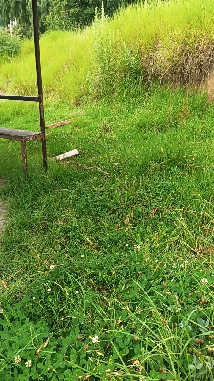 After cleaning photo