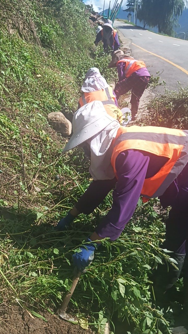 During cleaning photo