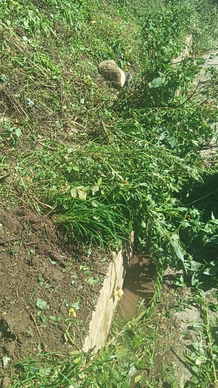 Before cleaning photo
