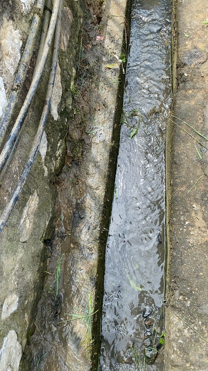 After cleaning photo