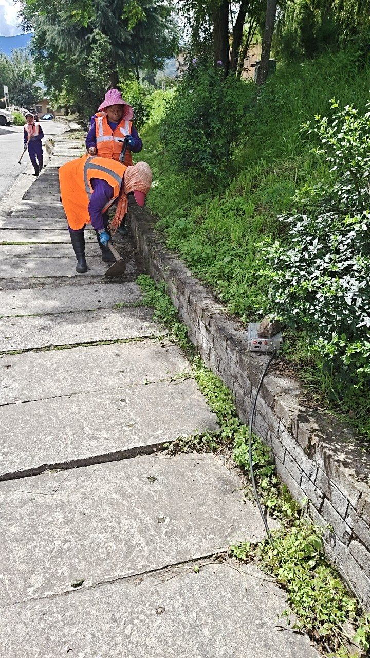 During cleaning photo