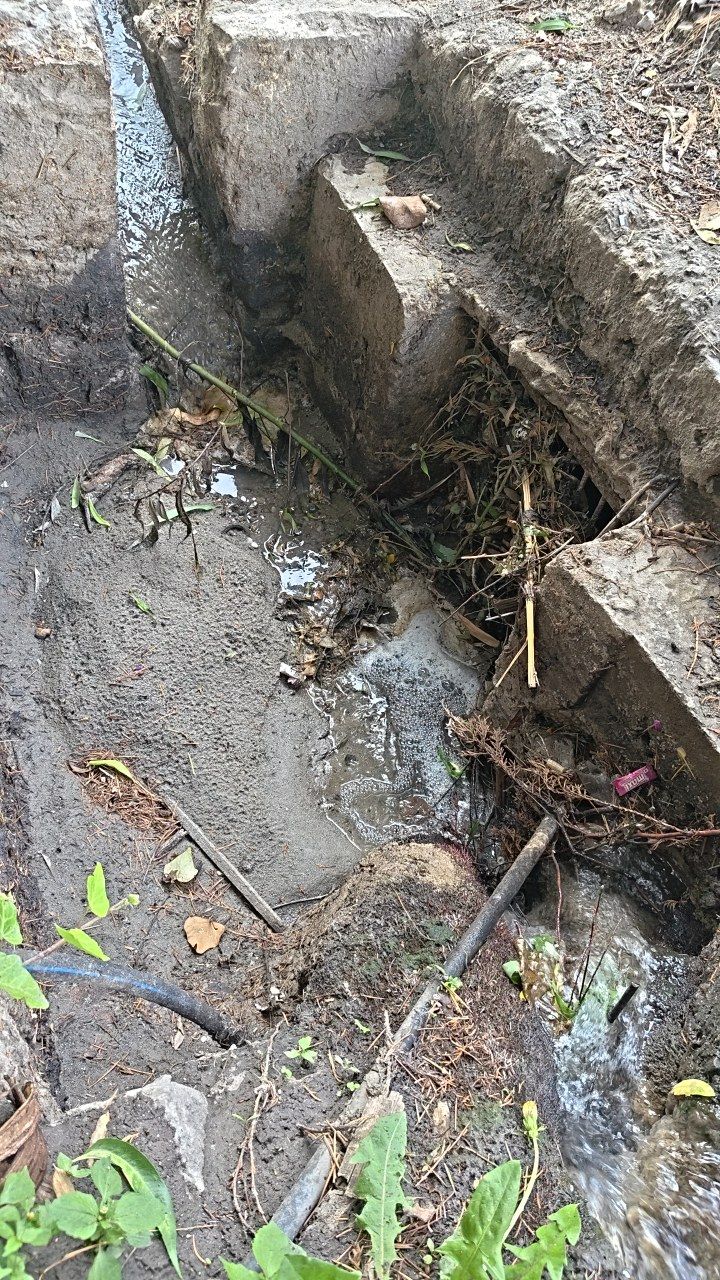 Before cleaning photo