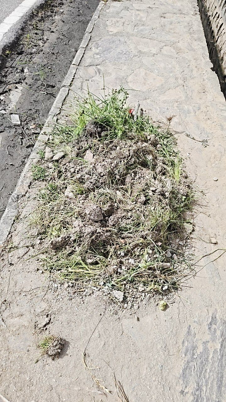 Before cleaning photo