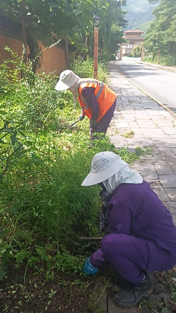 During cleaning photo