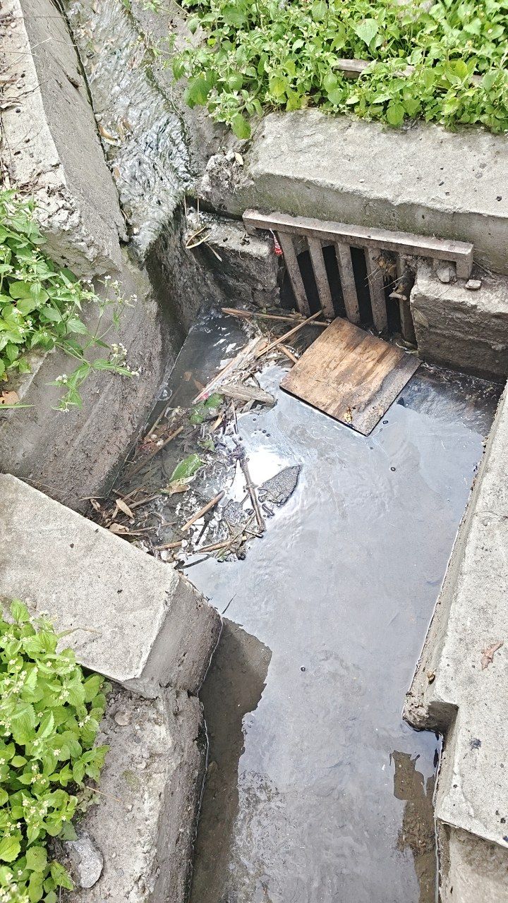 Before cleaning photo
