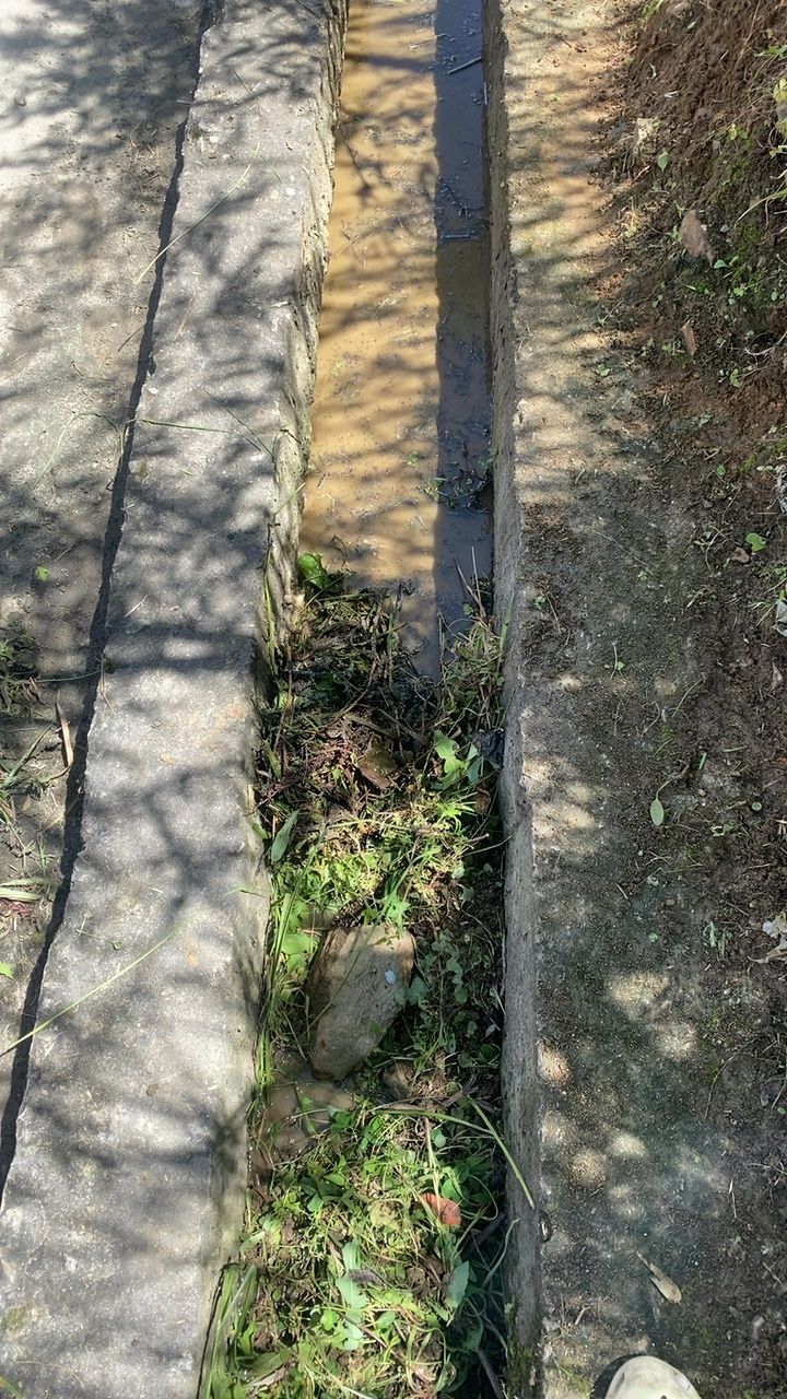 Before cleaning photo