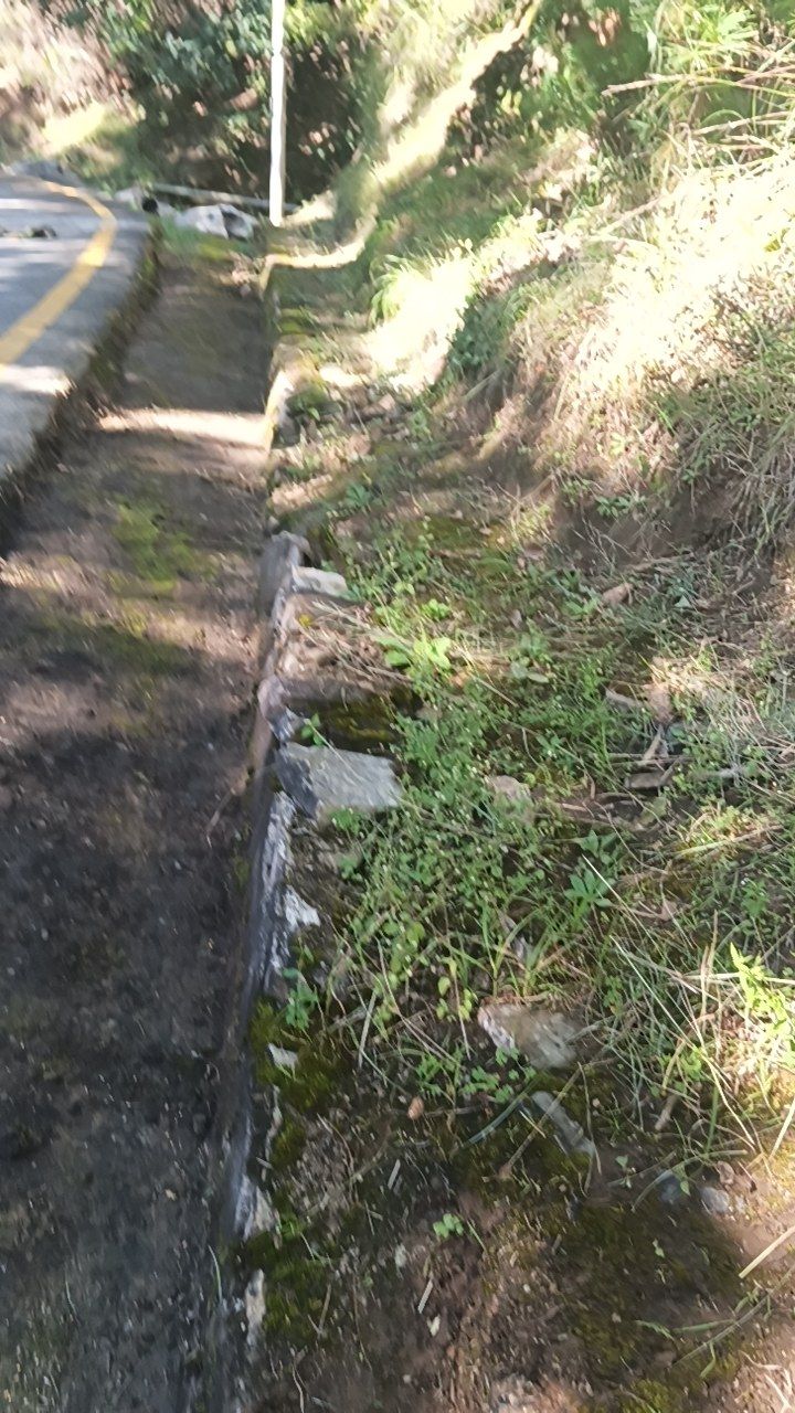 Before cleaning photo