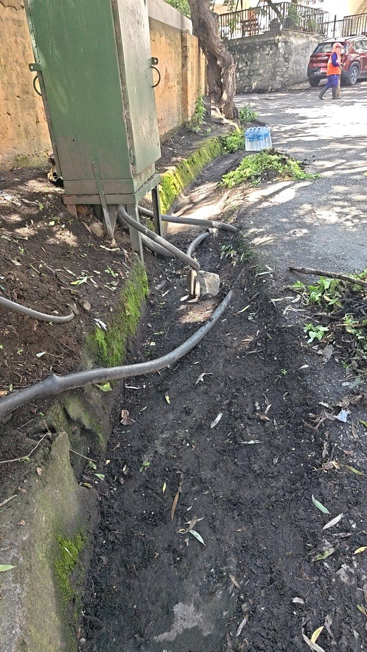 After cleaning photo