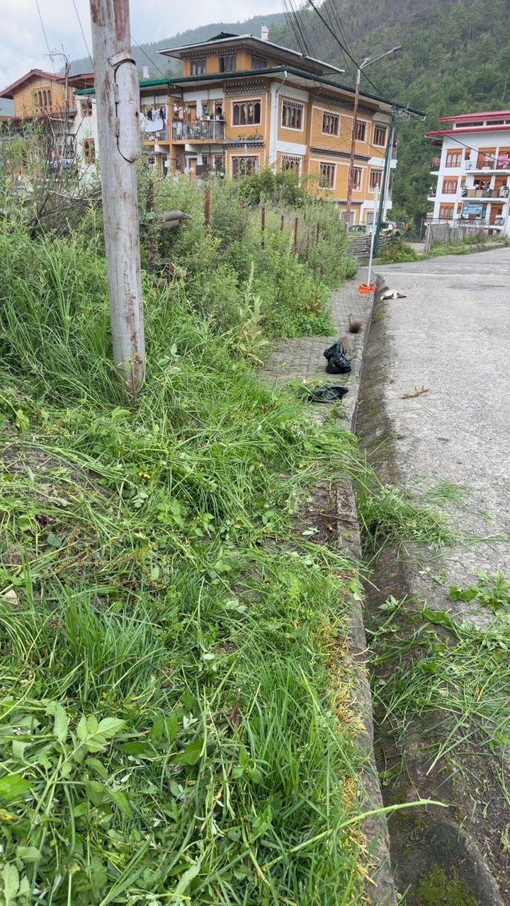 Before cleaning photo