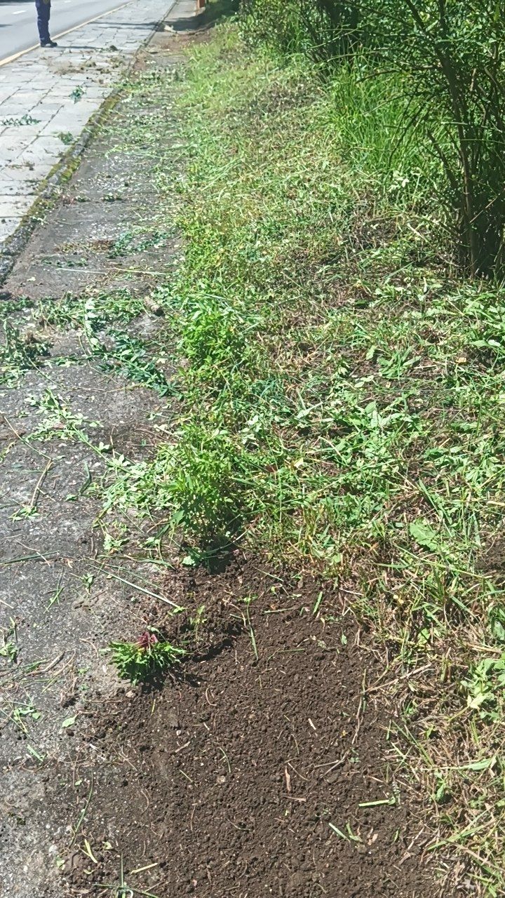 Before cleaning photo