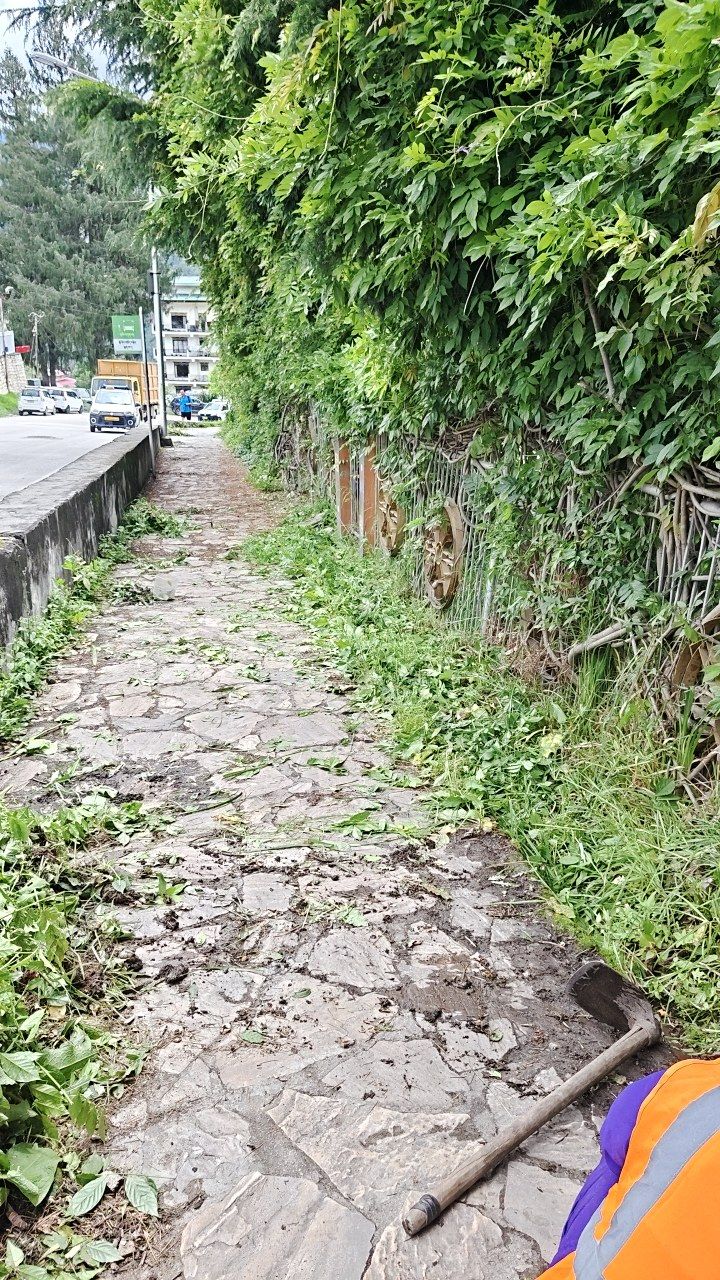 Before cleaning photo