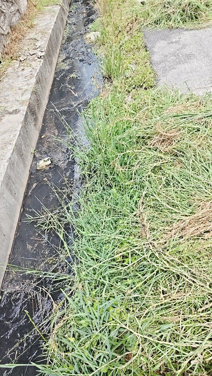 Before cleaning photo