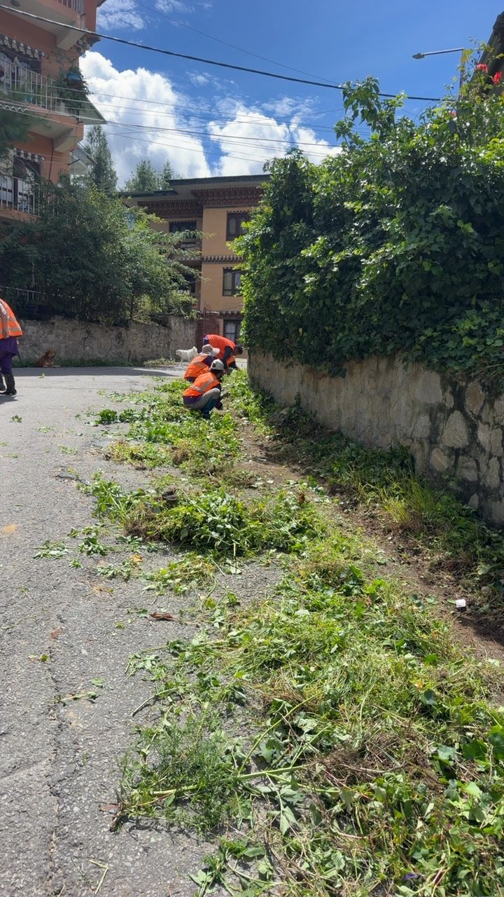 During cleaning photo