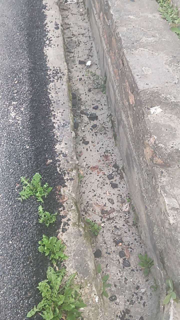 After cleaning photo