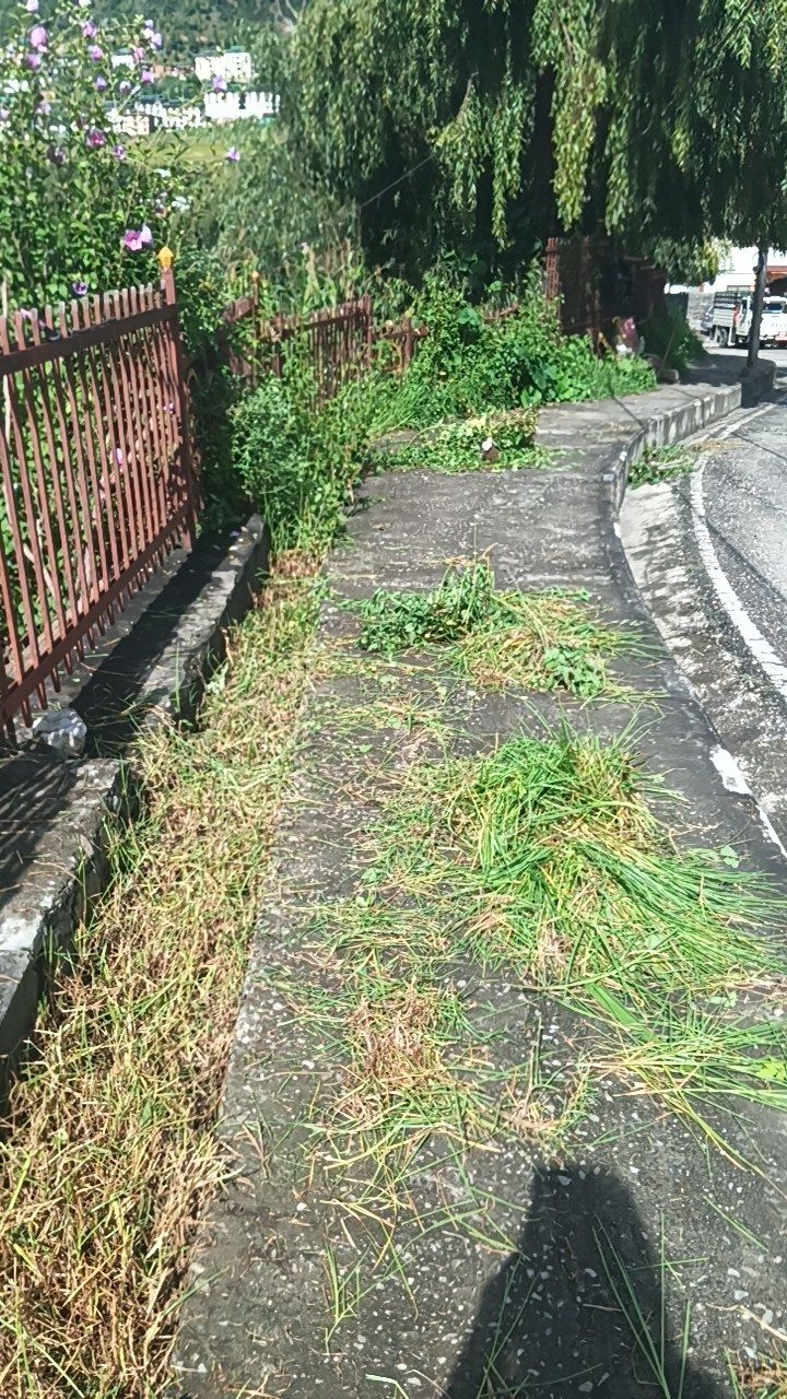 Before cleaning photo