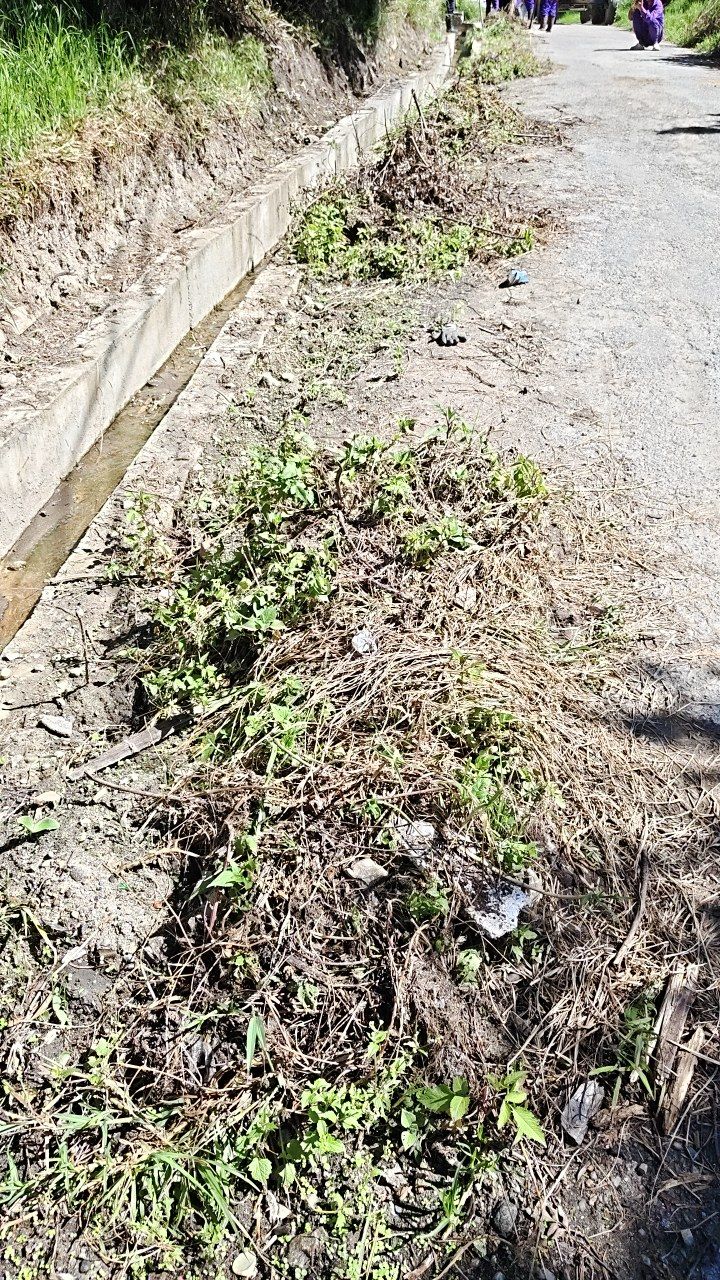 Before cleaning photo