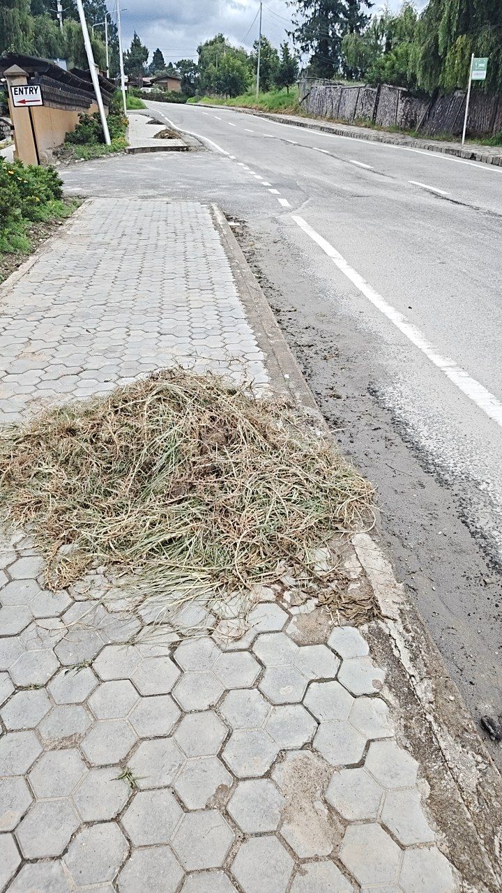 Before cleaning photo