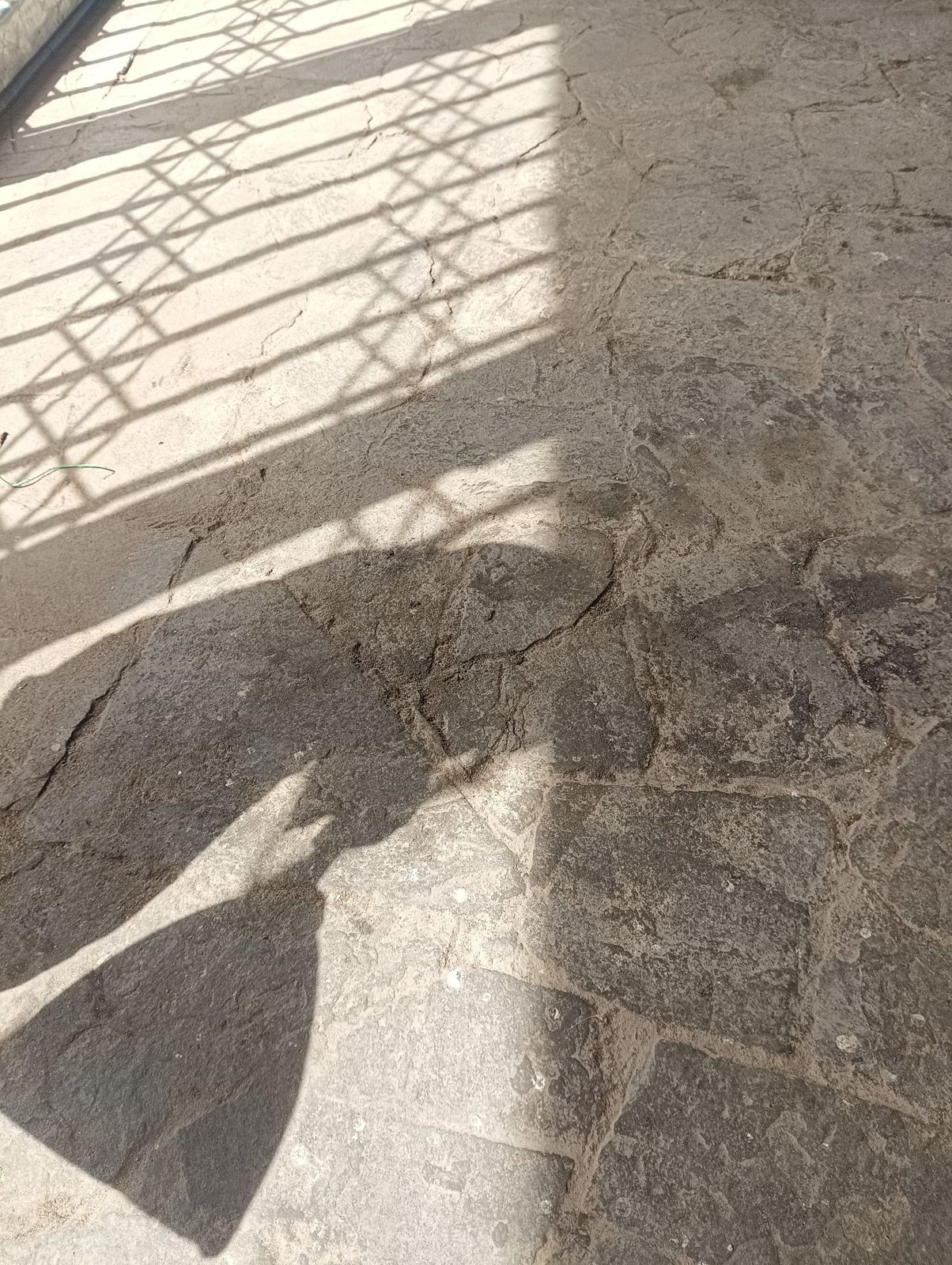 Before cleaning photo