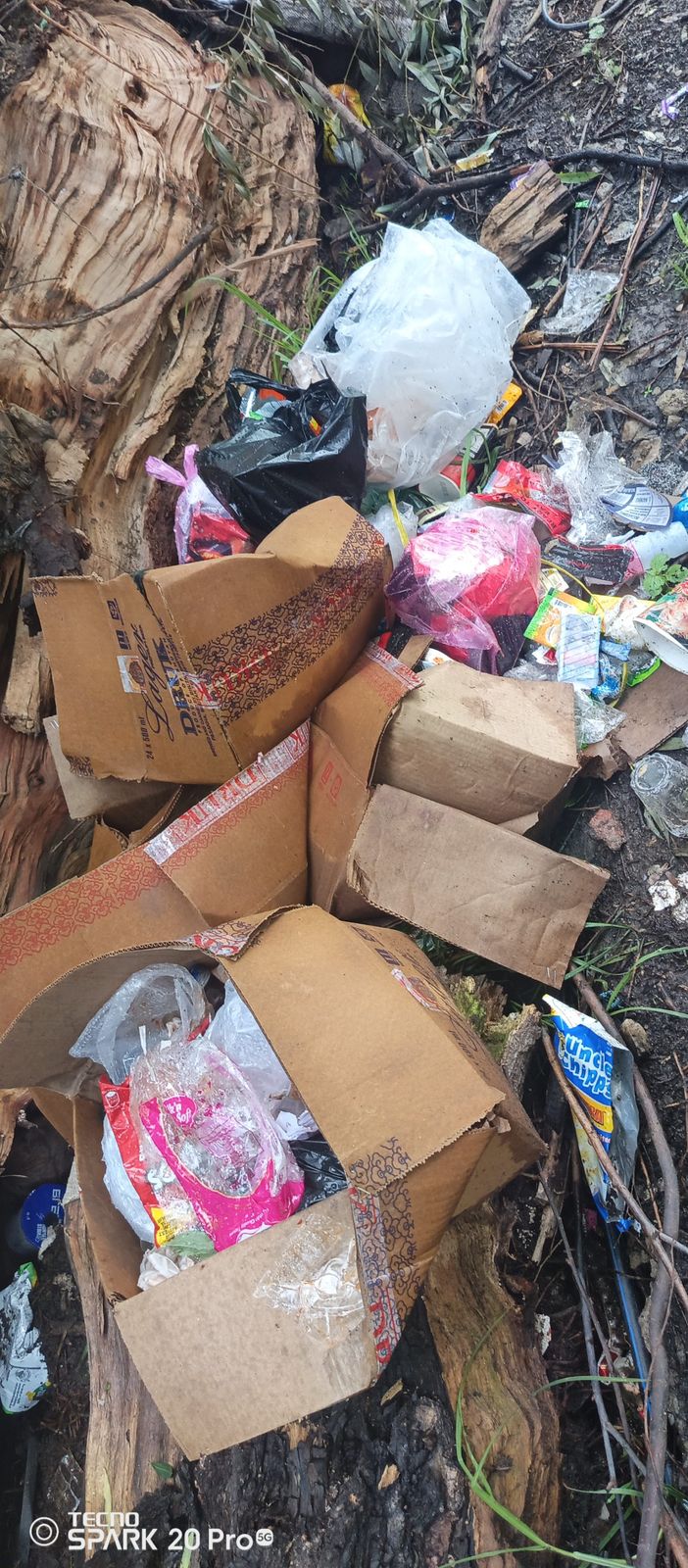 Before cleaning photo