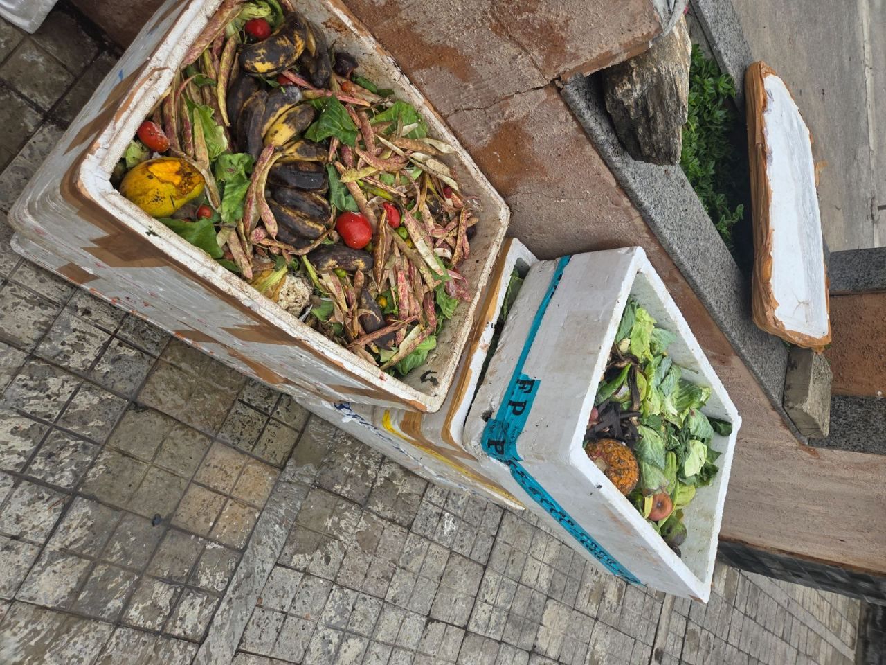 Community activity image