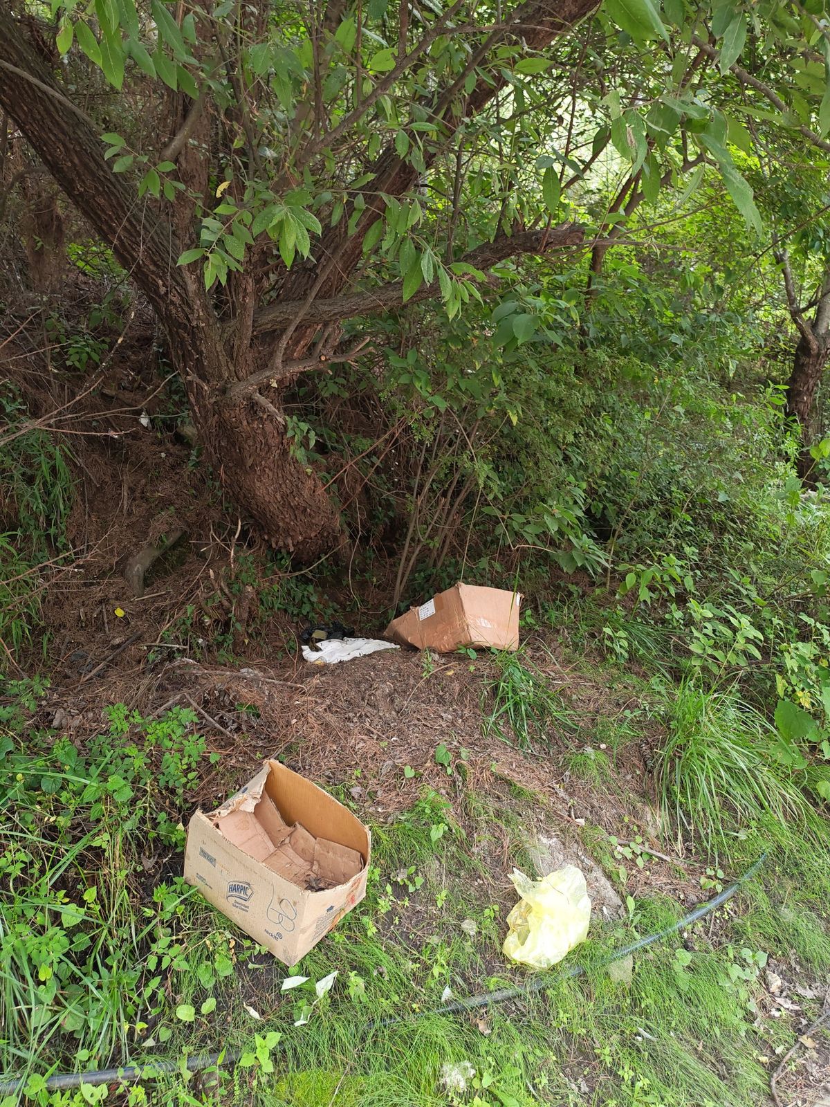 Before cleaning photo