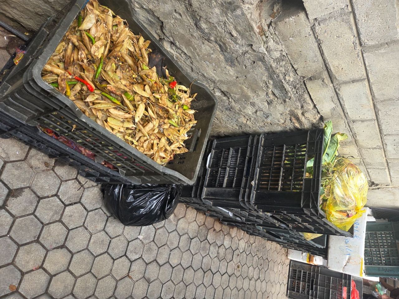 Community activity image